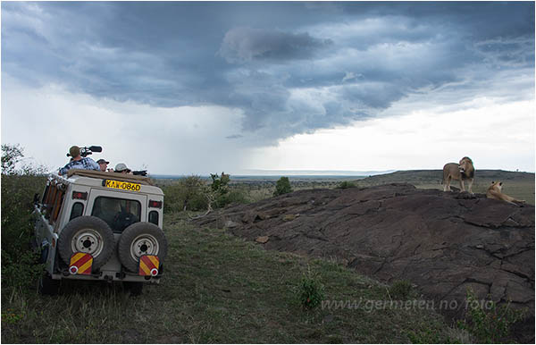 safaribil i kenya