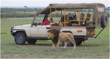 fotosafari i afrika