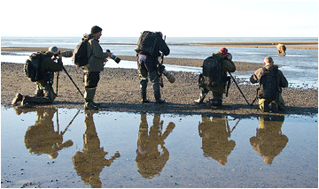 naturfotografer i aksjon i alaska