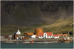 Bilder fra Sør-Georgia (Syd Georgia). Grytviken.