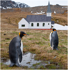 Bilder fra Grytviken, Syd Georgia / Sør Georgia. Grytviken kirke.