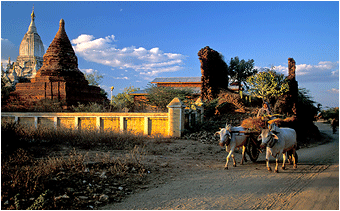 bilder fra bagan/pagan burma myanmar