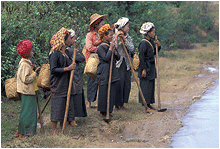 fjellfolk, burma