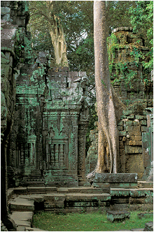 bilde fra angkor wat kambodsja