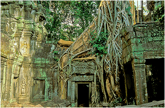 foto fra angkor wat kambodsja