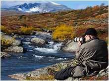 naturfoto på Dovrefjell. Snøhetta.