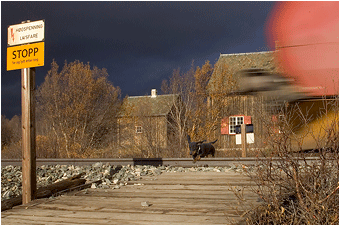 bilder fra dovrefjell. Lesjabekk jernbaneovergang.