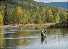 fluefisker i Engerdal