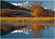 naturfoto fra dørålen, rondane