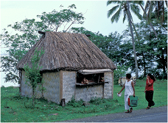 Bilder fra Fiji