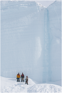 naturbilder fra Svalbard. Bråsvellbreen