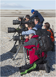 naturfotografer på svalbard