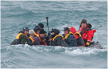 bilder fra svalbard zodiac